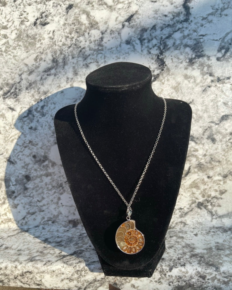 Ammonite Fossil Shell Necklace