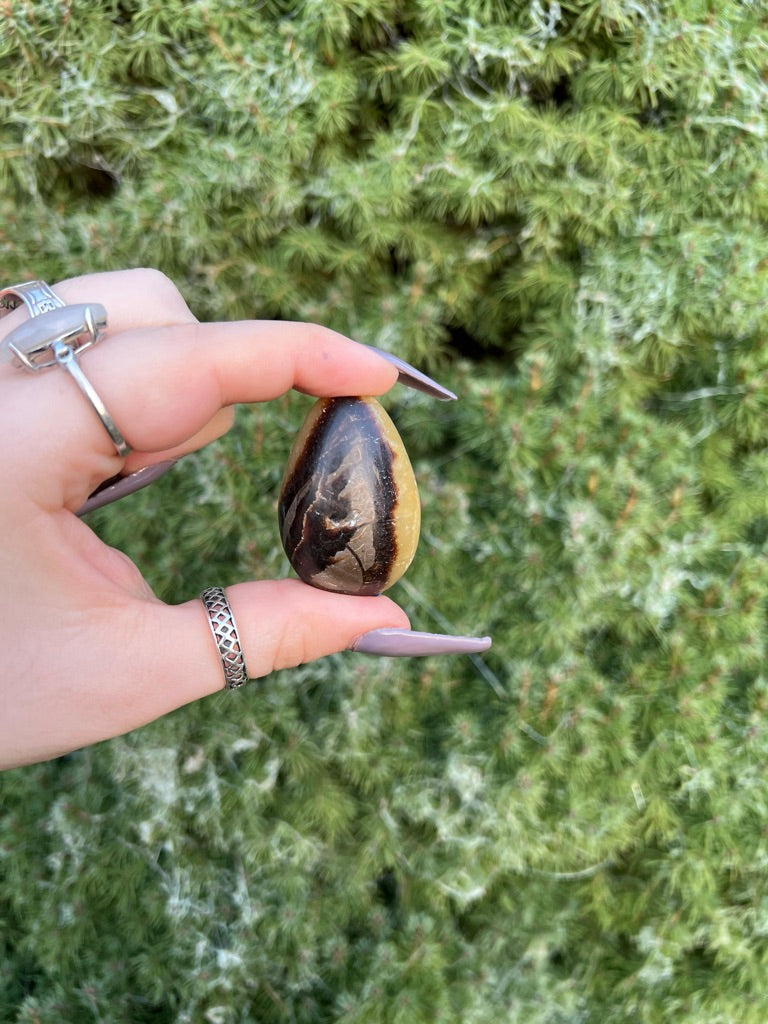 Septarian Egg (M)