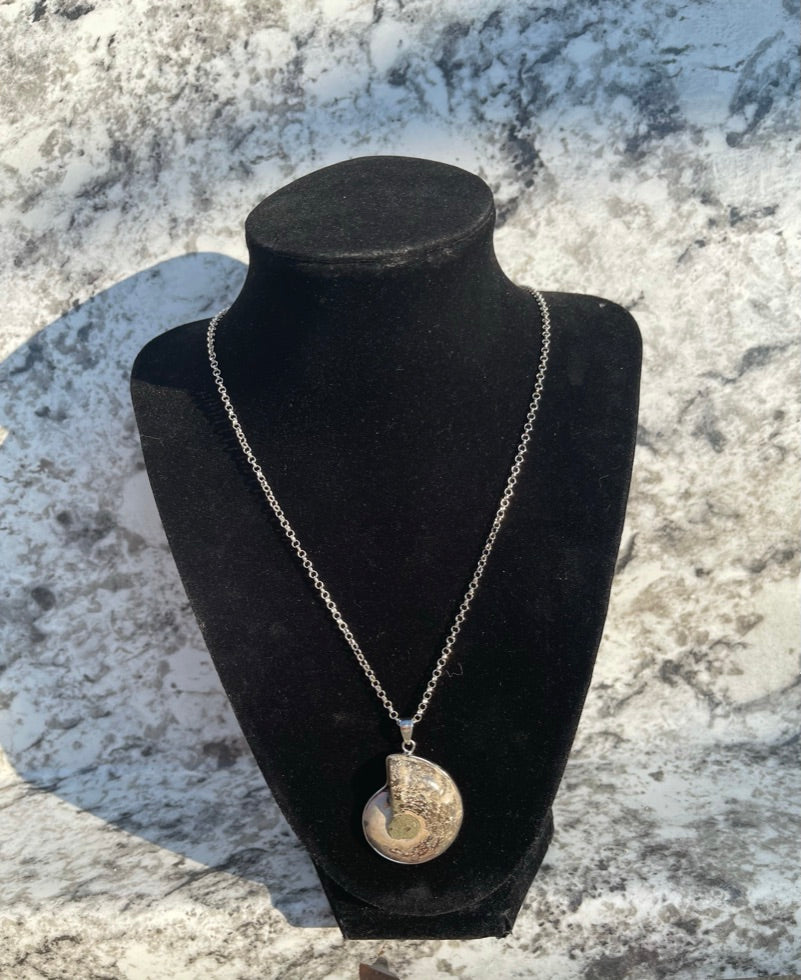 Ammonite Fossil Shell Necklace