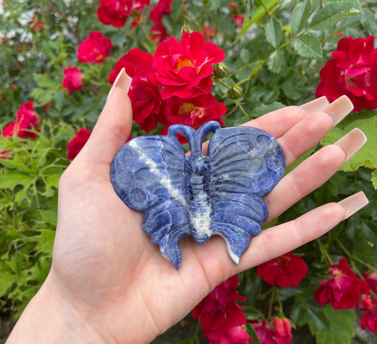 Sodalite Butterfly Carving