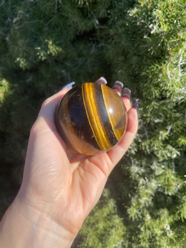 Tiger's Eye Sphere (L)