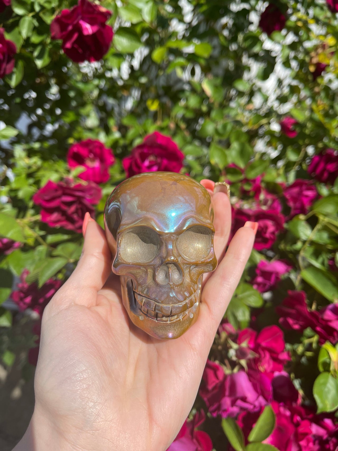 Aura Ocean Jasper Skull