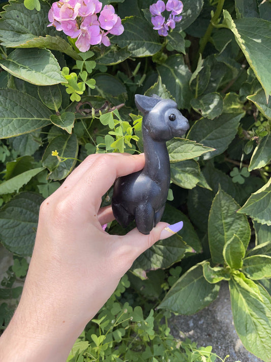 Black Obsidian Alpaca