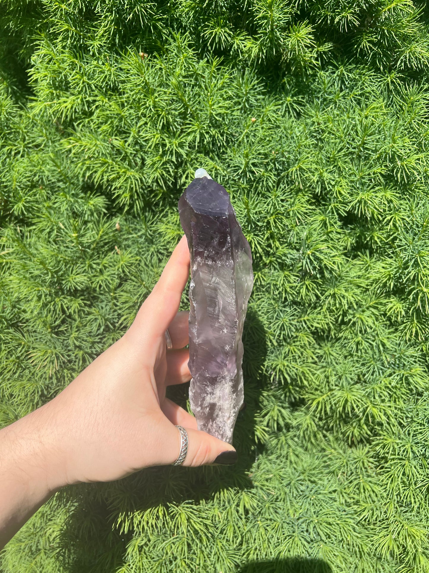 Amethyst Wand (Unpolished) (L)