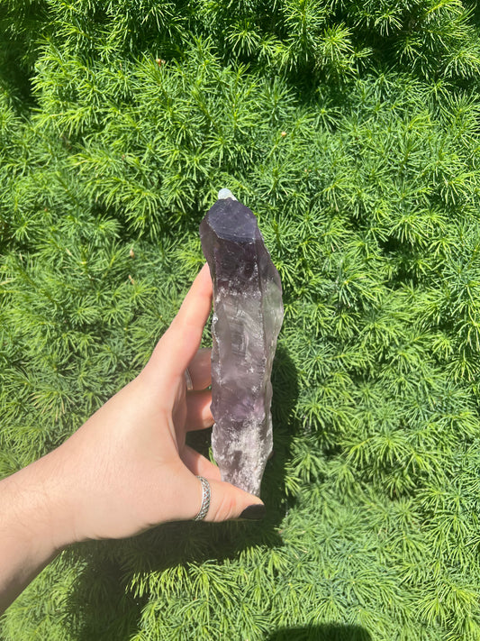 Amethyst Wand (Unpolished) (L)