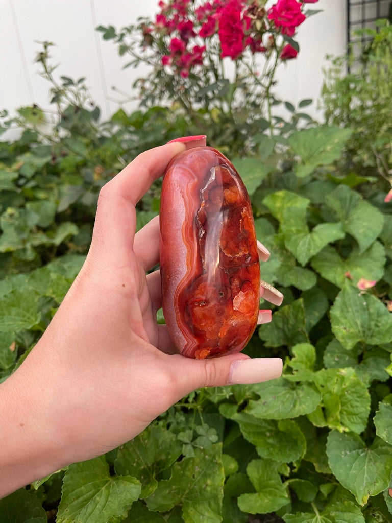 Carnelian Freeform (M)