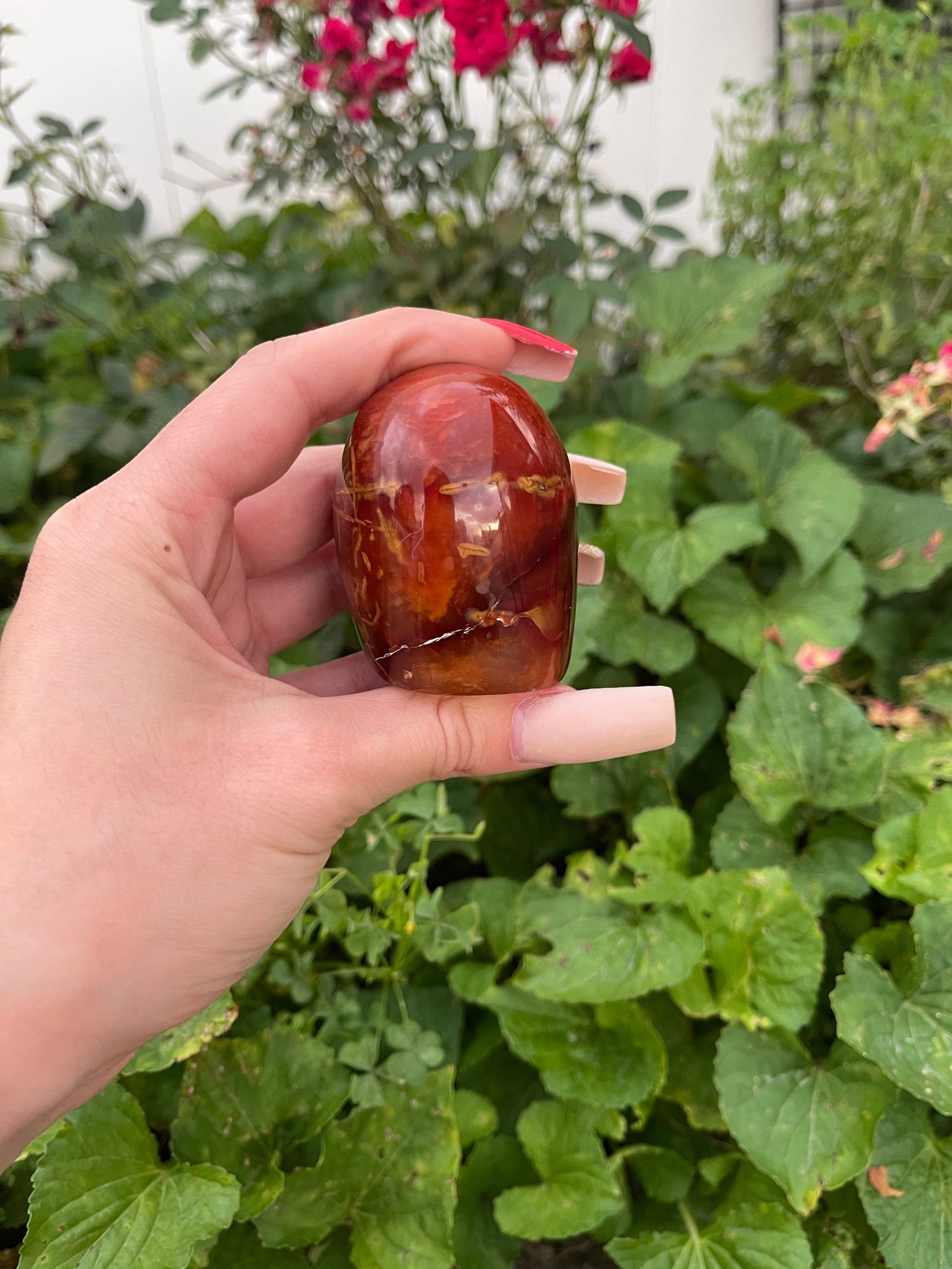 Carnelian Freeform (S)