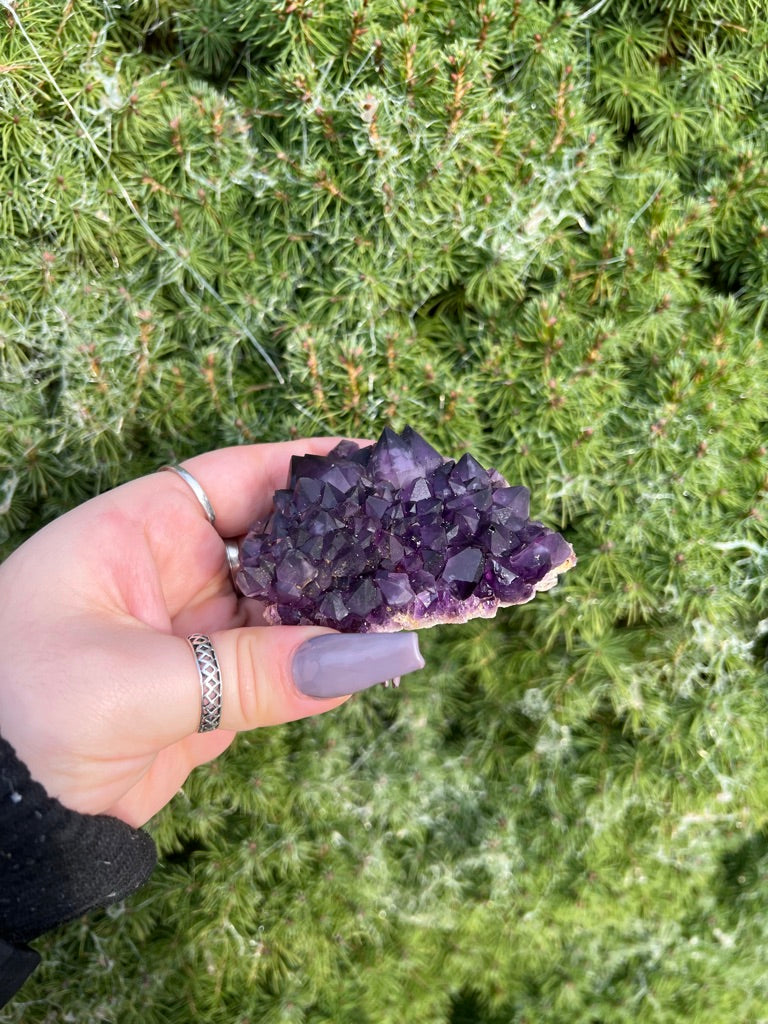 Amethyst Point Cluster (M)