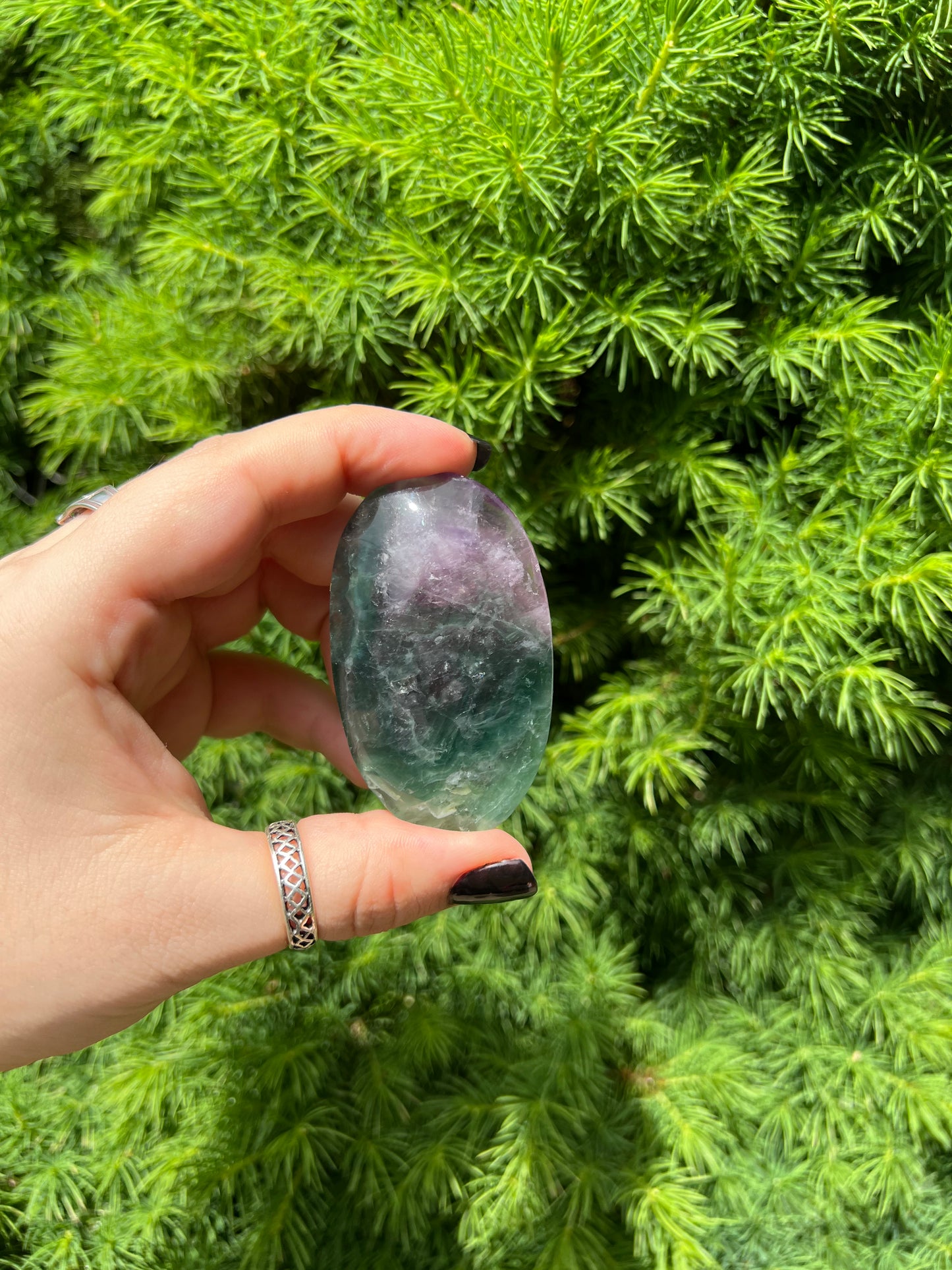 Rainbow Fluorite Palm Stones (M)