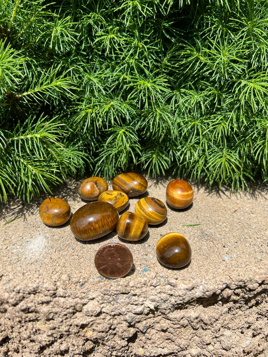 Tiger's Eye Tumble Stone