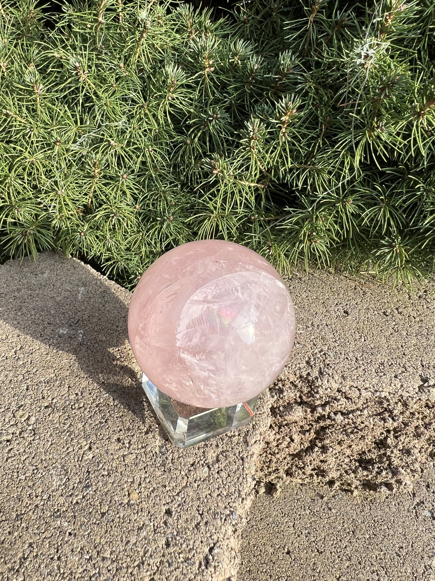 Rose Quartz Sphere (M)