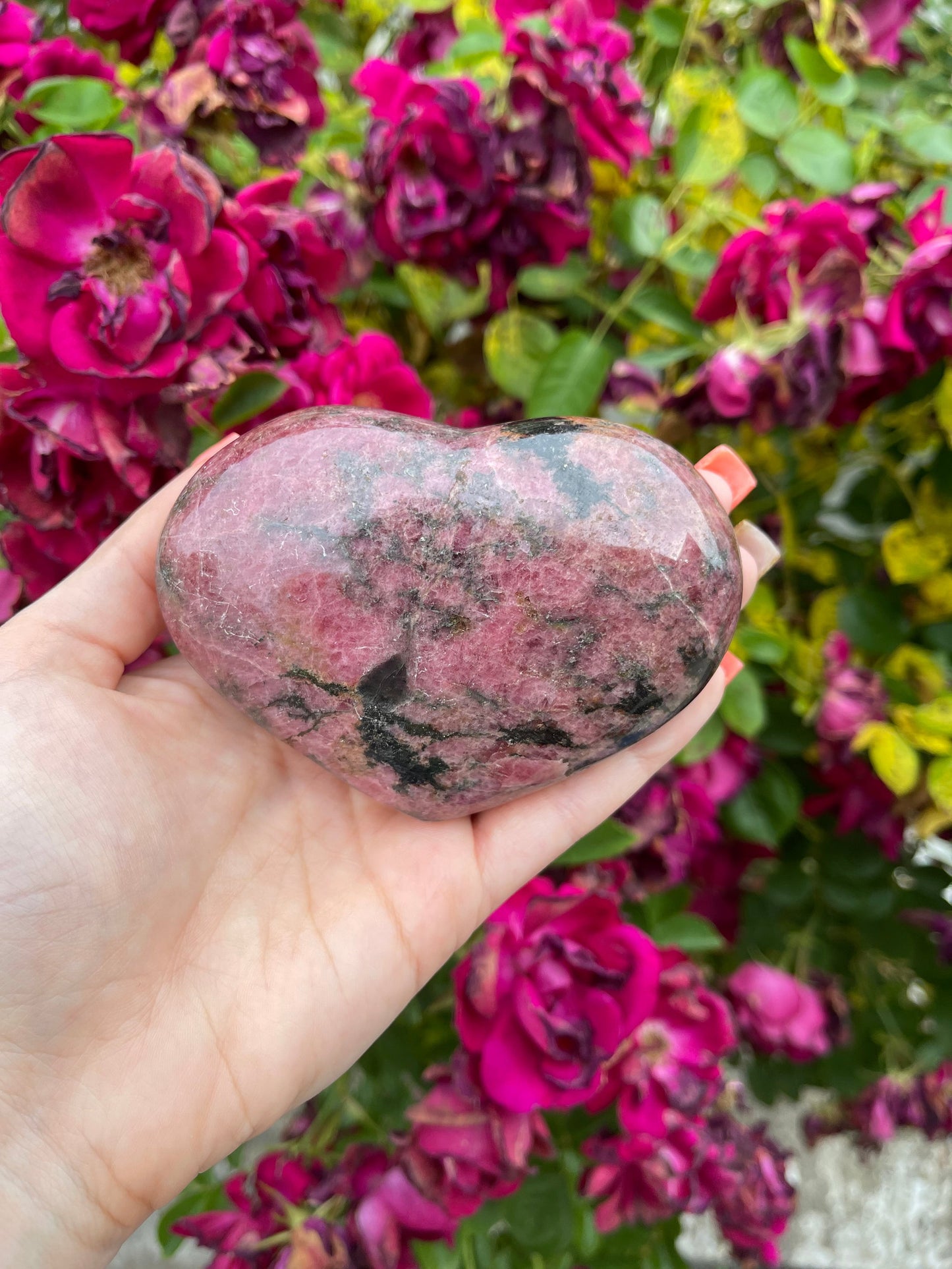 Puffy Rhodonite Hearts