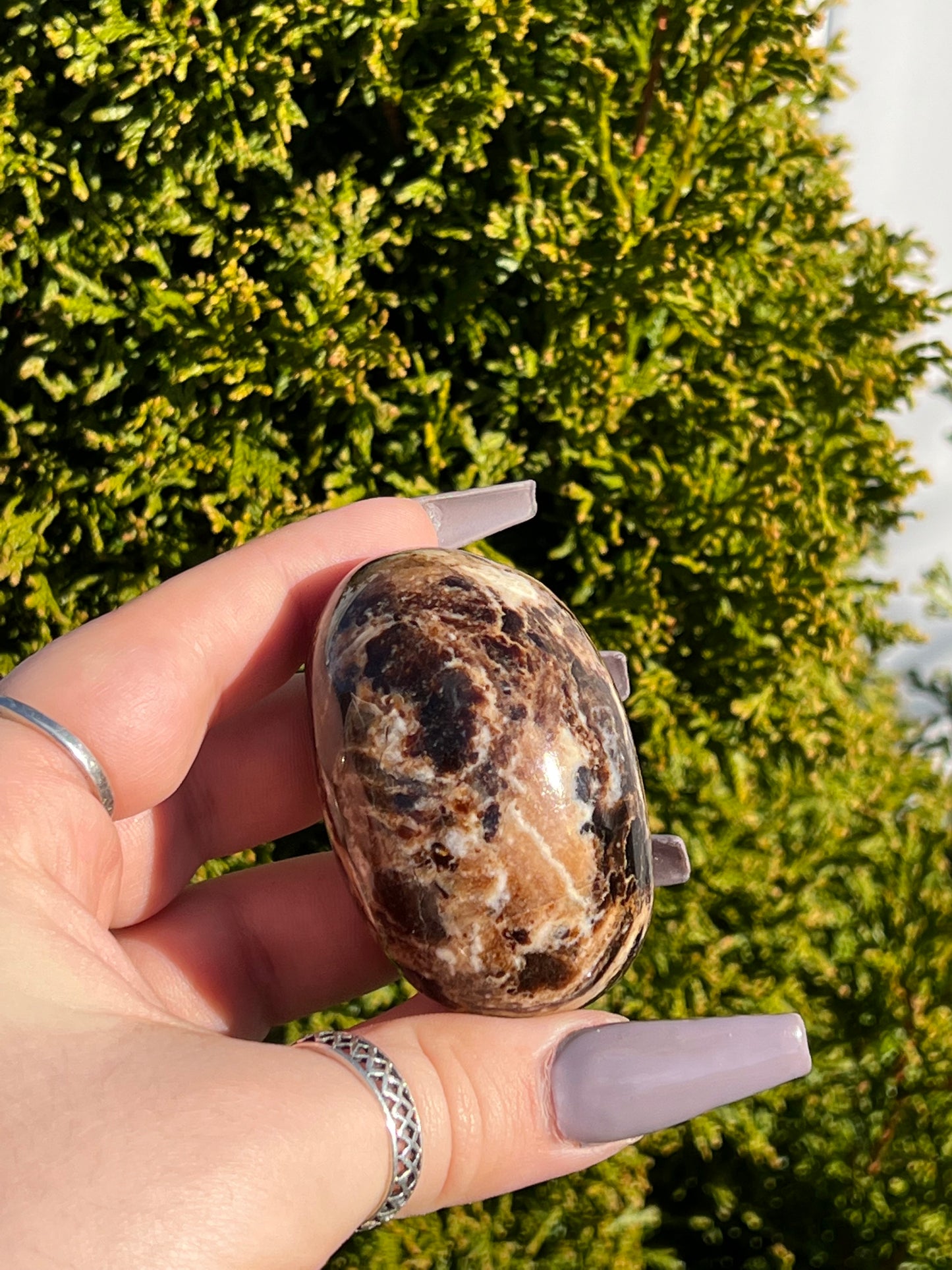 Chocolate Calcite Palm Stone (M)