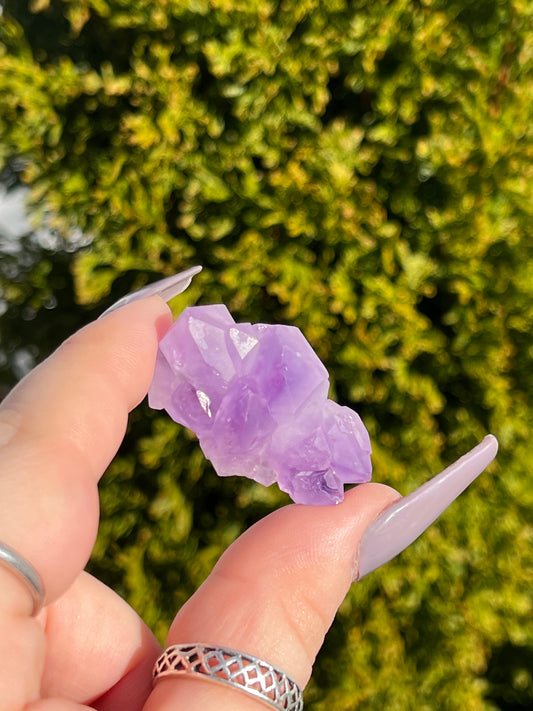 Raw Amethyst Cluster Chunk