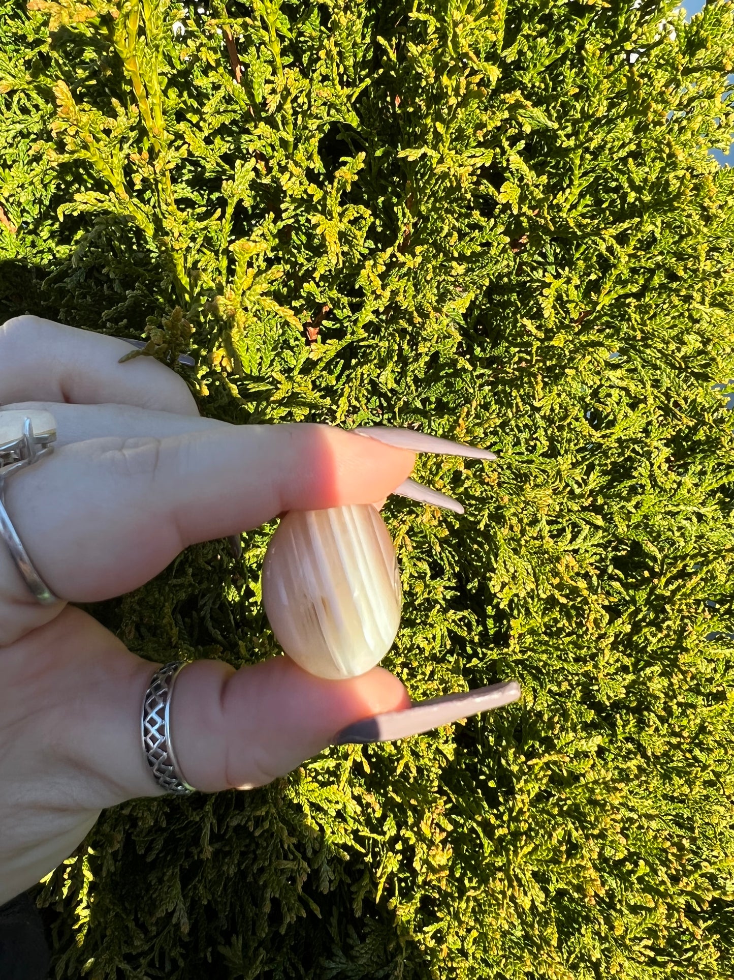 Red Agate Tumble Stone