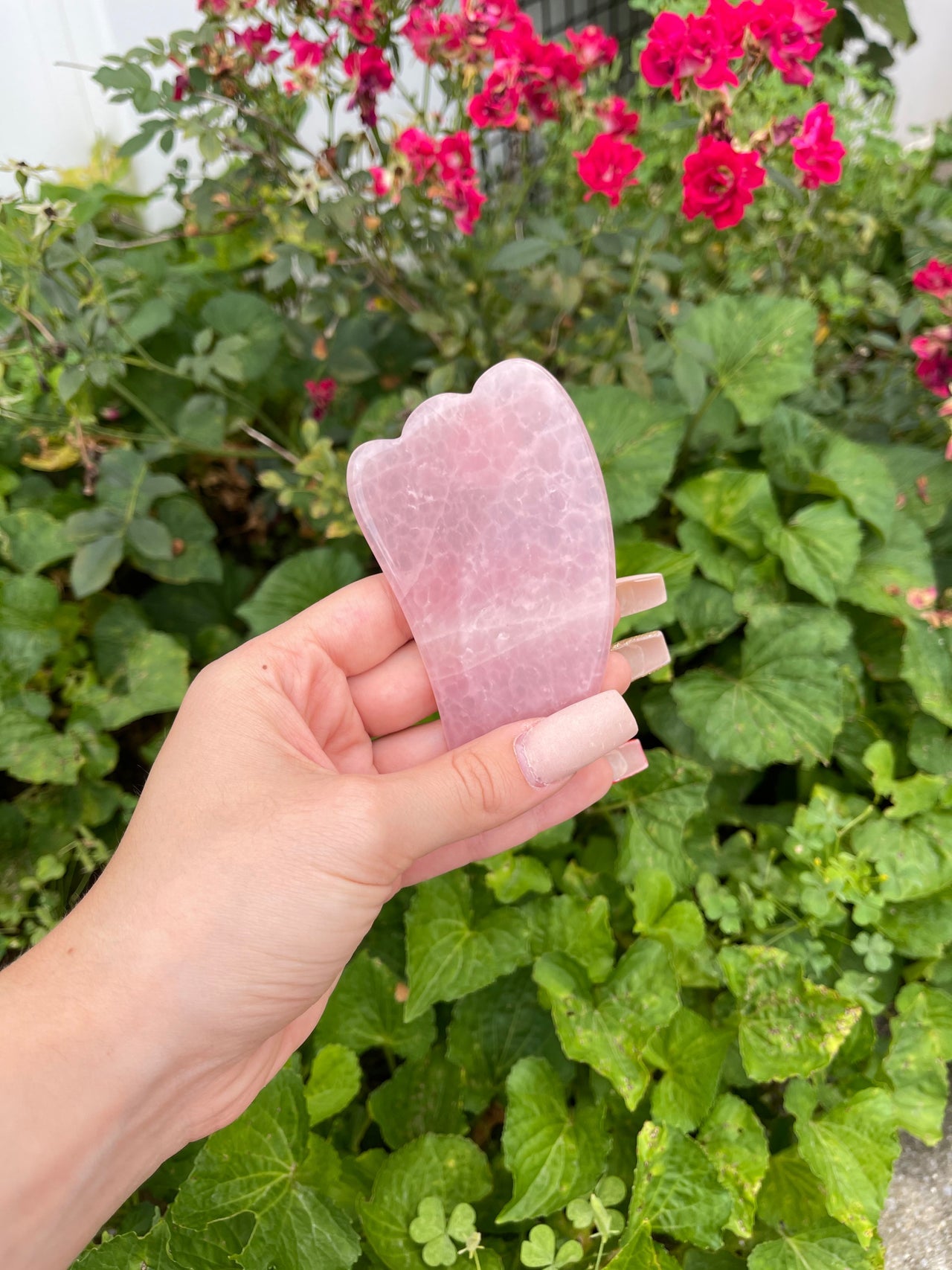 Rose Quartz Gua sha