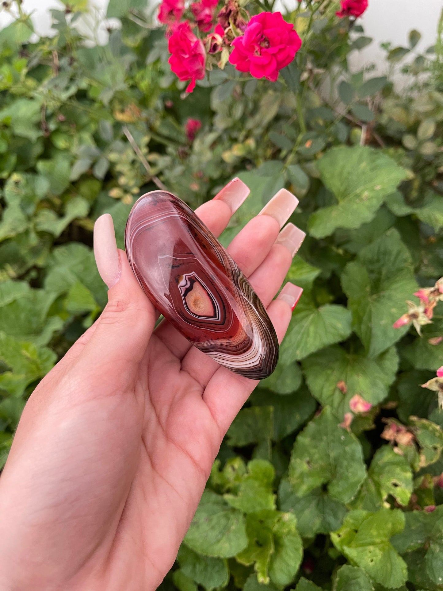 Sardonyx Palm Stones (L)