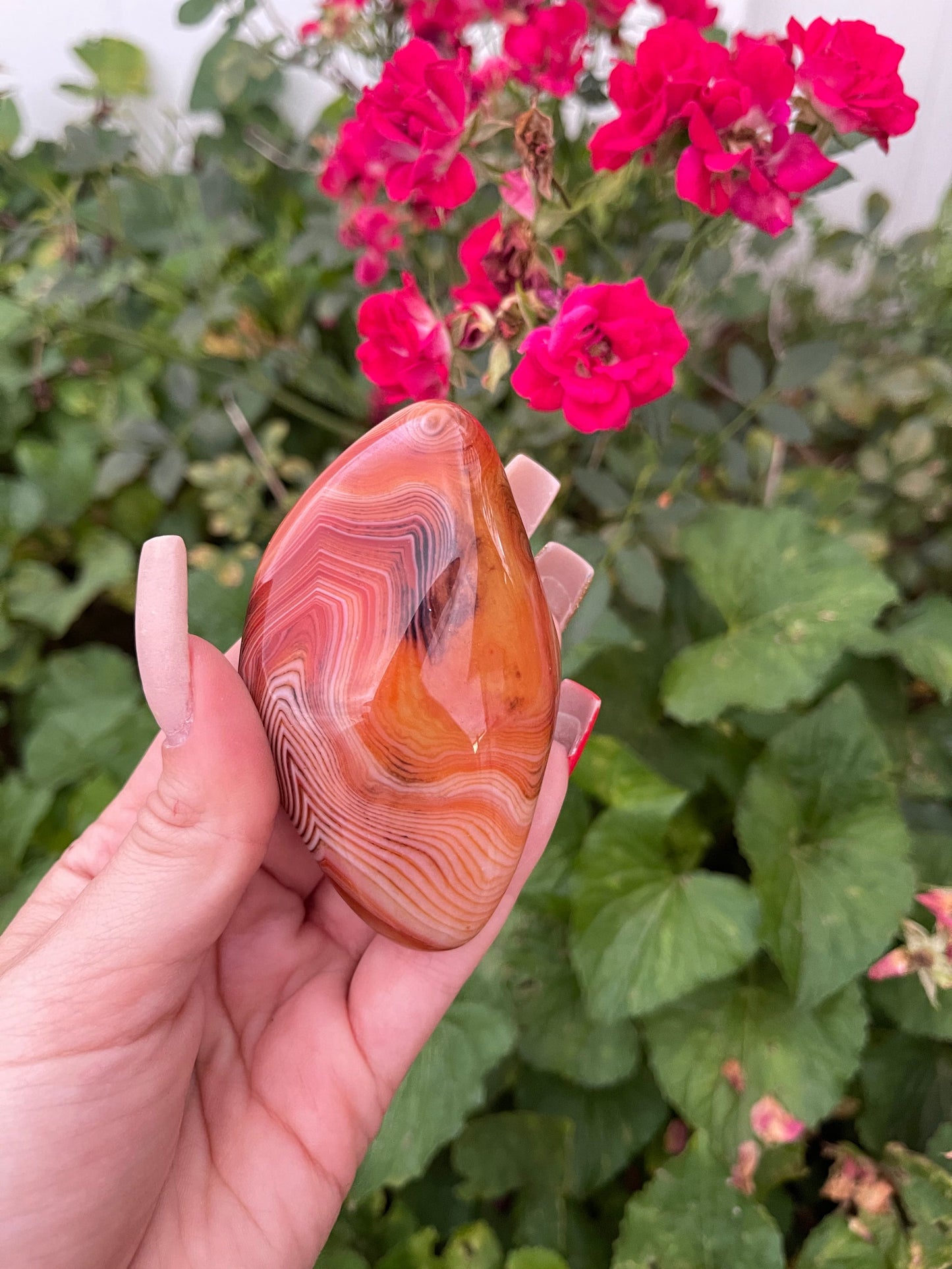 Sardonyx Palm Stones (L)