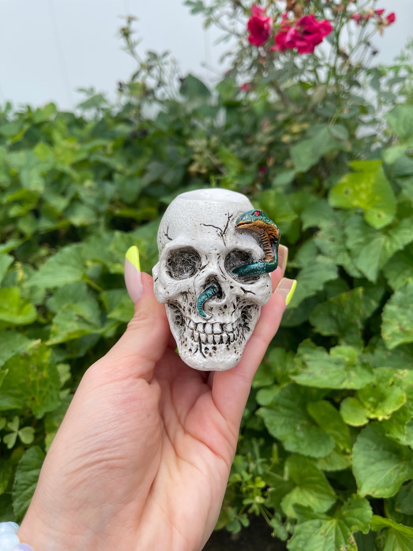 Skull Sphere Holders