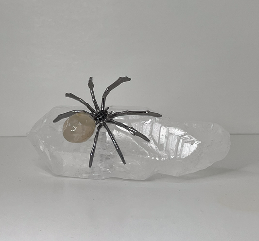 Spider on Clear Quartz Crystal