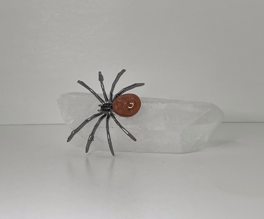 Spider on Clear Quartz